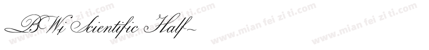 BW7i Scientific Half字体转换